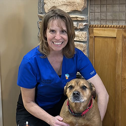 Dr. Lisa Kirby, Central Illinois Veterinarian