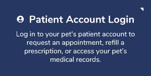 Patient Account Login